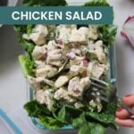A glass container filled with lettuce and dill pickle chicken salad, resembling a marinated vegetable salad, with a hand holding a fork and text overlay reading "dill pickle chicken salad.