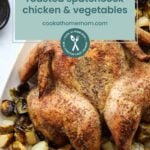A roasted spatchcock chicken surrounded by roasted vegetables and greek chicken meatballs on a baking tray, with a text overlay reading "roasted spatchcock chicken & vegetables.