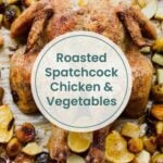 A roasted spatchcock chicken on a baking sheet with browned vegetables like potatoes and brussels sprouts, alongside flavorful greek chicken meatballs.