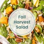 Plate of salad with spinach, roasted squash, pecans, apple slices, pumpkin seeds, feta cheese, and red onions, with text overlay reading "Fall Harvest Salad"—the perfect fall salad to enjoy seasonal flavors.