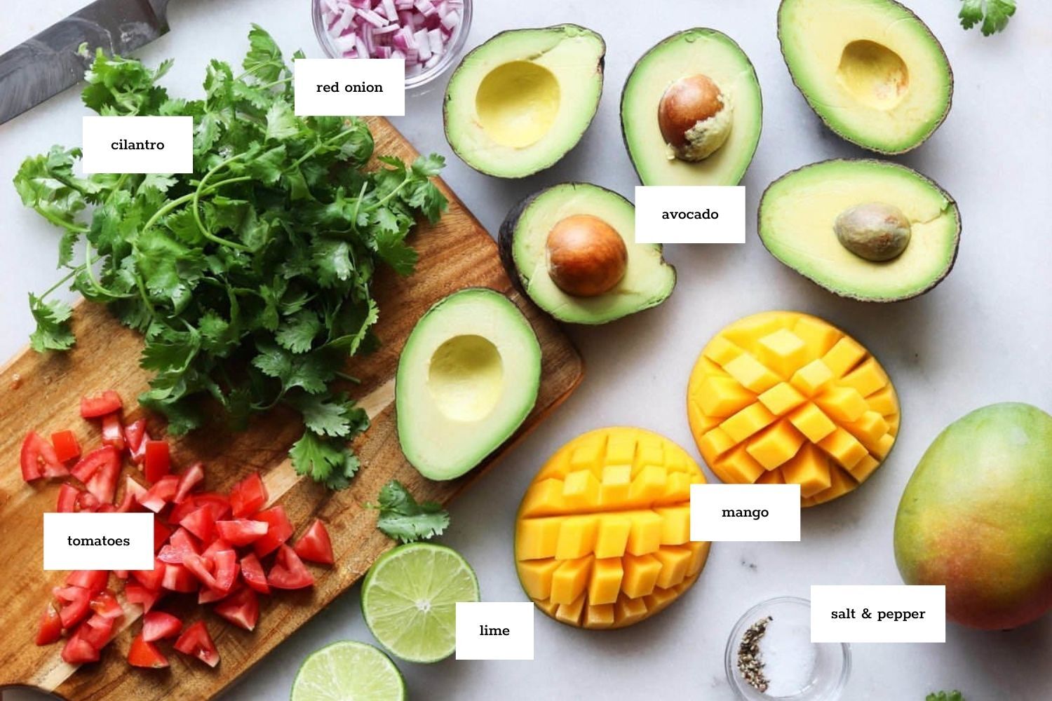 Chopped cilantro, red onion, tomatoes, lime, avocado halves, and diced mango arranged on a counter with salt and pepper.