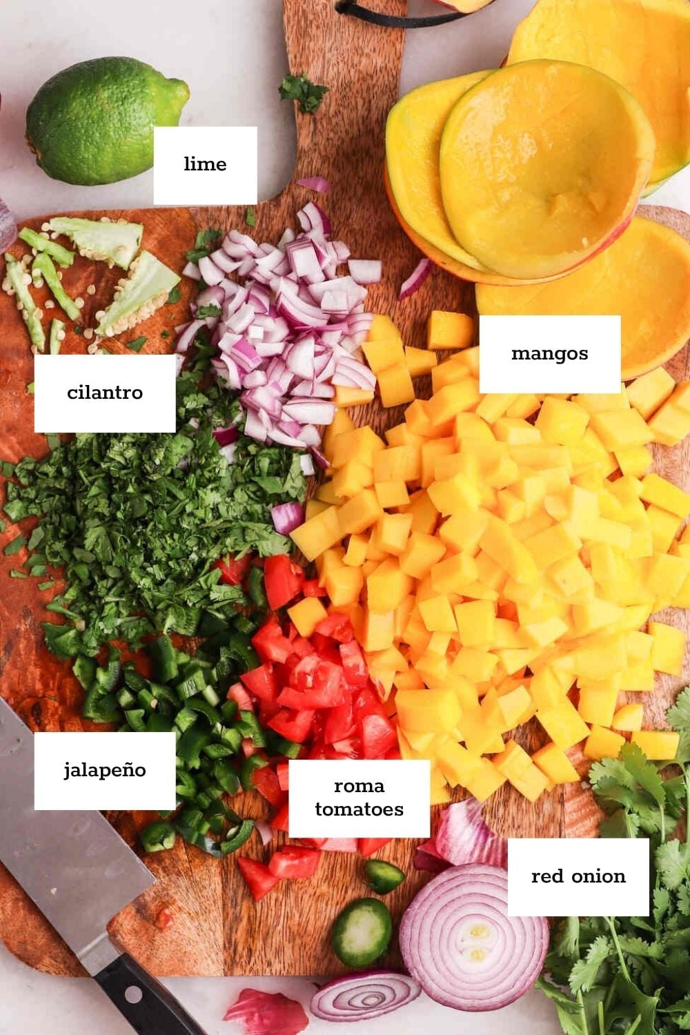 Chopped lime, cilantro, jalapeño, roma tomatoes, red onion, and mangos are arranged on a wooden cutting board, each labeled with text.