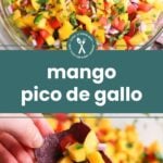 A bowl of mango pico de gallo with diced mango, tomato, red onion, and cilantro; a hand scoops some with a blue corn chip.