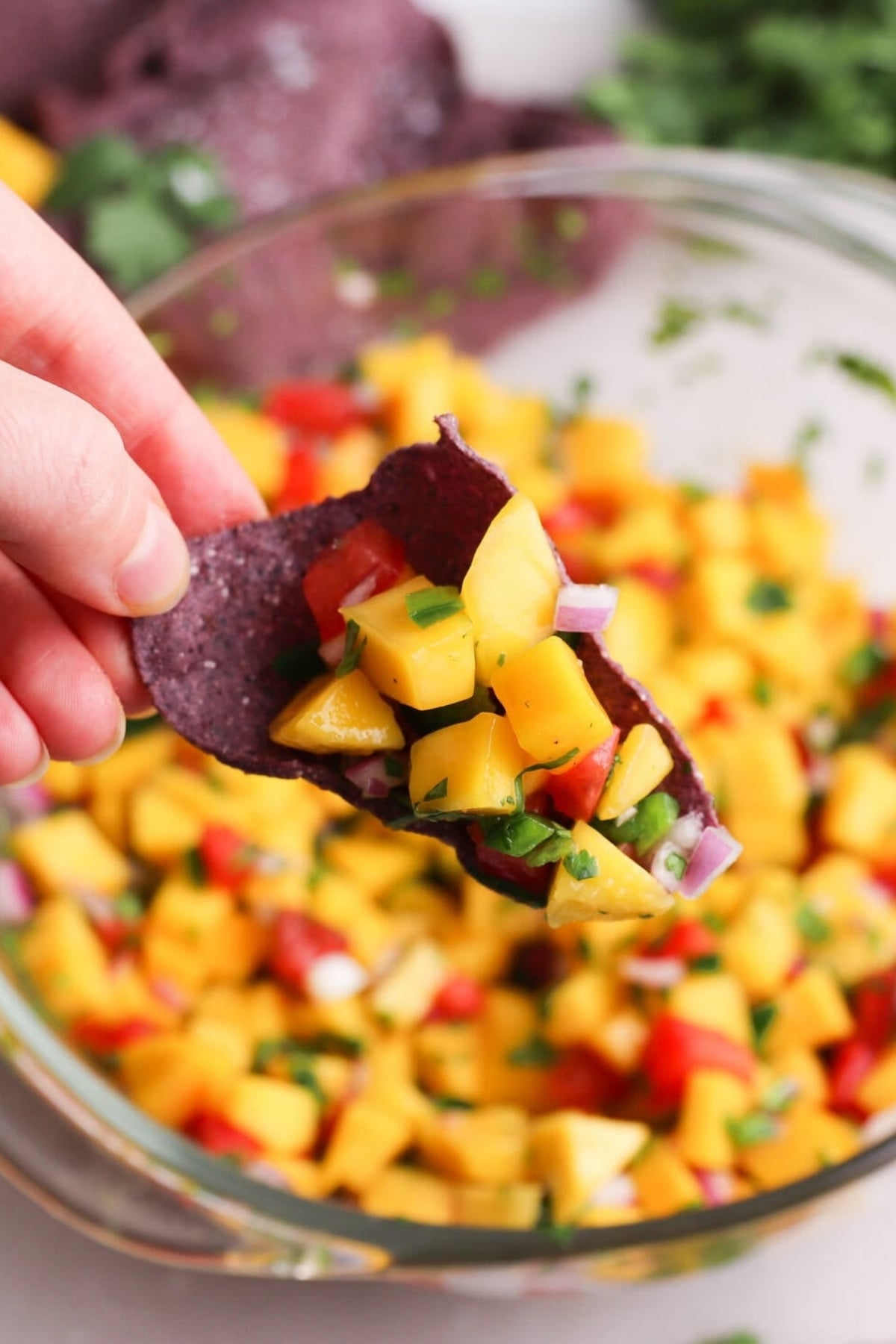 A hand holds a blue corn chip topped with mango pico de gallo over a bowl filled with more of the salsa fresca recipe. 