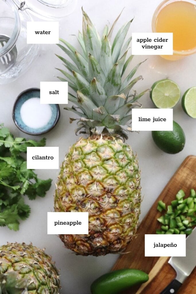Top-down view of ingredients for a recipe, including whole pineapple, cilantro, salt, water, apple cider vinegar, lime juice, jalapeño, and lime halves, each labeled.