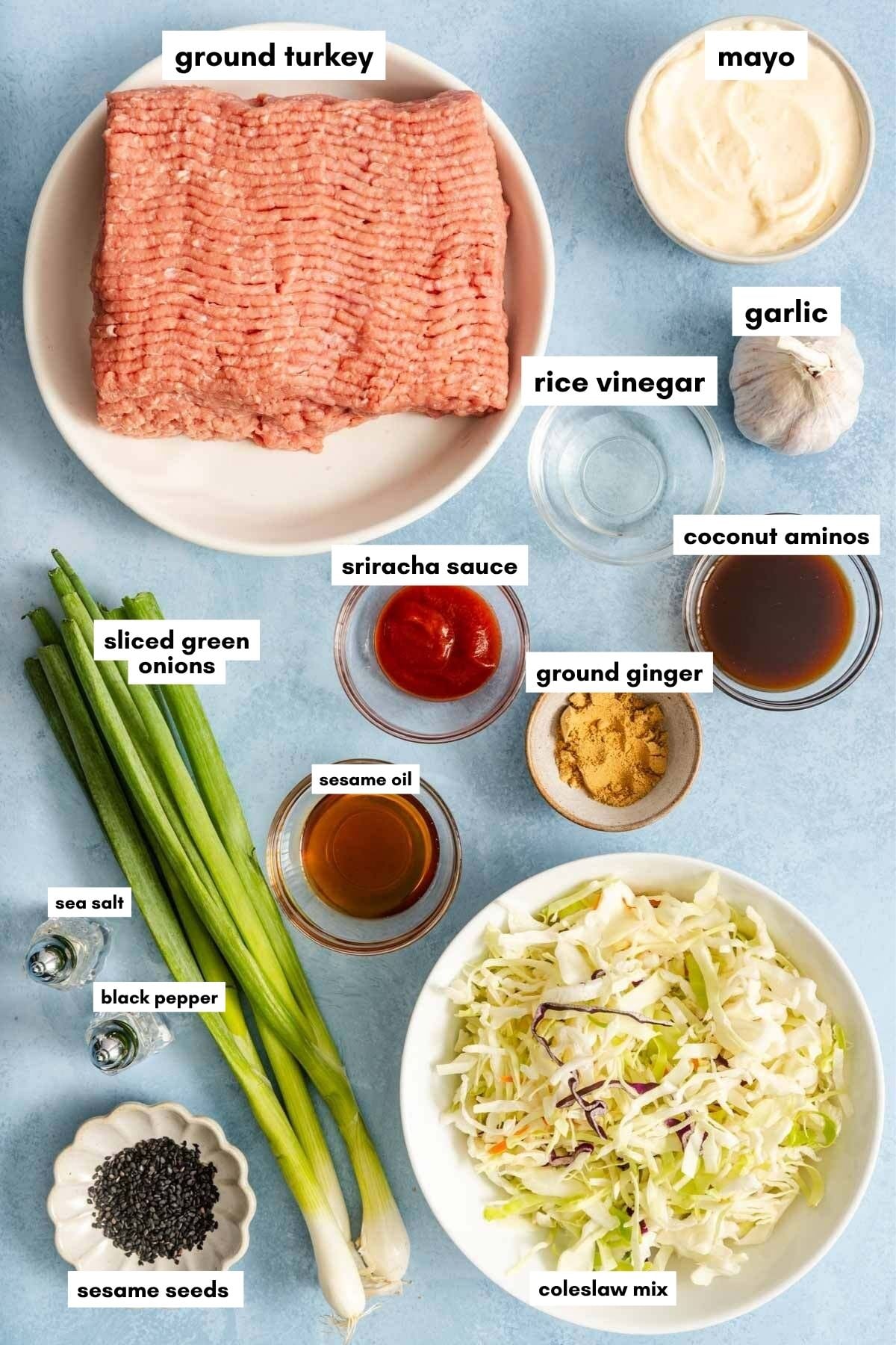 Various ingredients for an Asian-inspired dish are arranged on a tabletop, including everything you need to make egg roll in a bowl with coleslaw mix: ground turkey, coleslaw mix, seasonings, sauces, green onions, garlic, and mayonnaise. Labels identify each item.